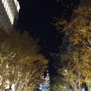 pierb_ cuiの画像