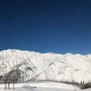 RATMの画像