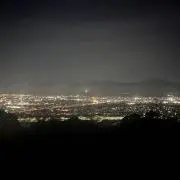 ぽんの画像