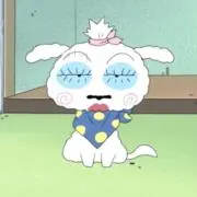 Momiの画像