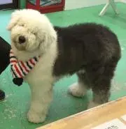 Hiiiiiの画像