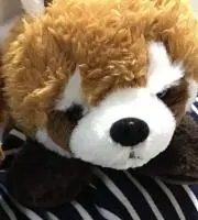 ゆー3225の画像