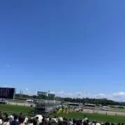 ZZの画像