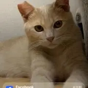 じゅんたま