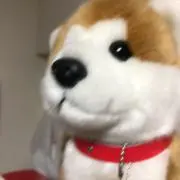 マルの画像