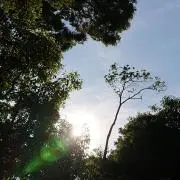 お月