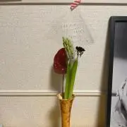 ささちゃんの画像