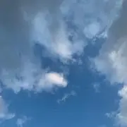 meruの画像