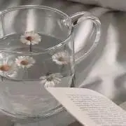 みゅ