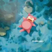 晴の画像
