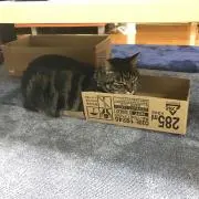 ゆーじ