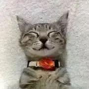 プッティー♡