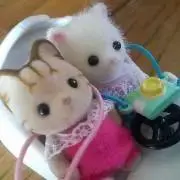ゆかゆか虫