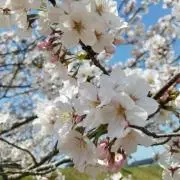 0182KRの画像