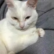 あーちゃん
