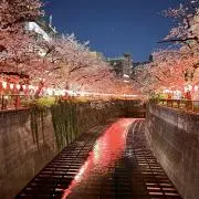 古瀬の画像