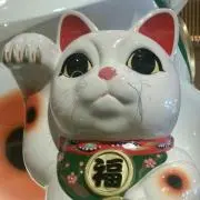 MMHの画像