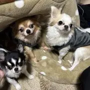 みきこ