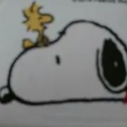 YUYUの画像