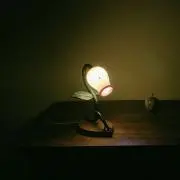 マダツボミ