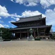 針槐
