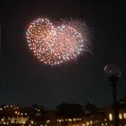 ジョリーの画像