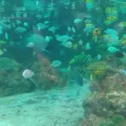 水色の画像