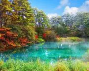 Mizumiiroの画像
