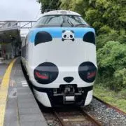 ひろこの画像
