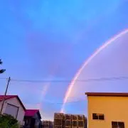 エヌの画像