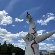 しましまの画像