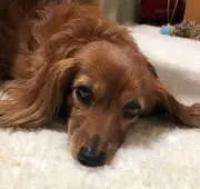 みっちの画像