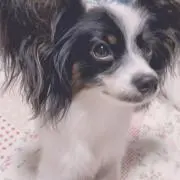 Mai.の画像