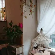 みーの画像