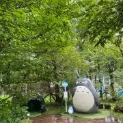 Chicoの画像