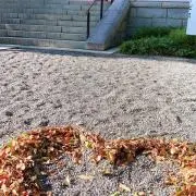 なぎ