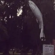 masaの画像