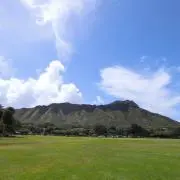 aloha☆の画像