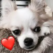 eeeema♡✴︎の画像