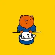 サナ（断捨離中）