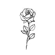 Flowerの画像