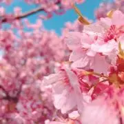 わだち