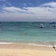 のんのん