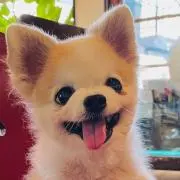 Mノリ