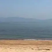 ジェラルドの画像