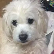 ナッツの画像