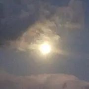 ちーずの画像