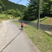 ミミラの画像