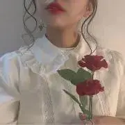 rの画像