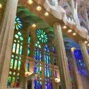 ちゃの画像